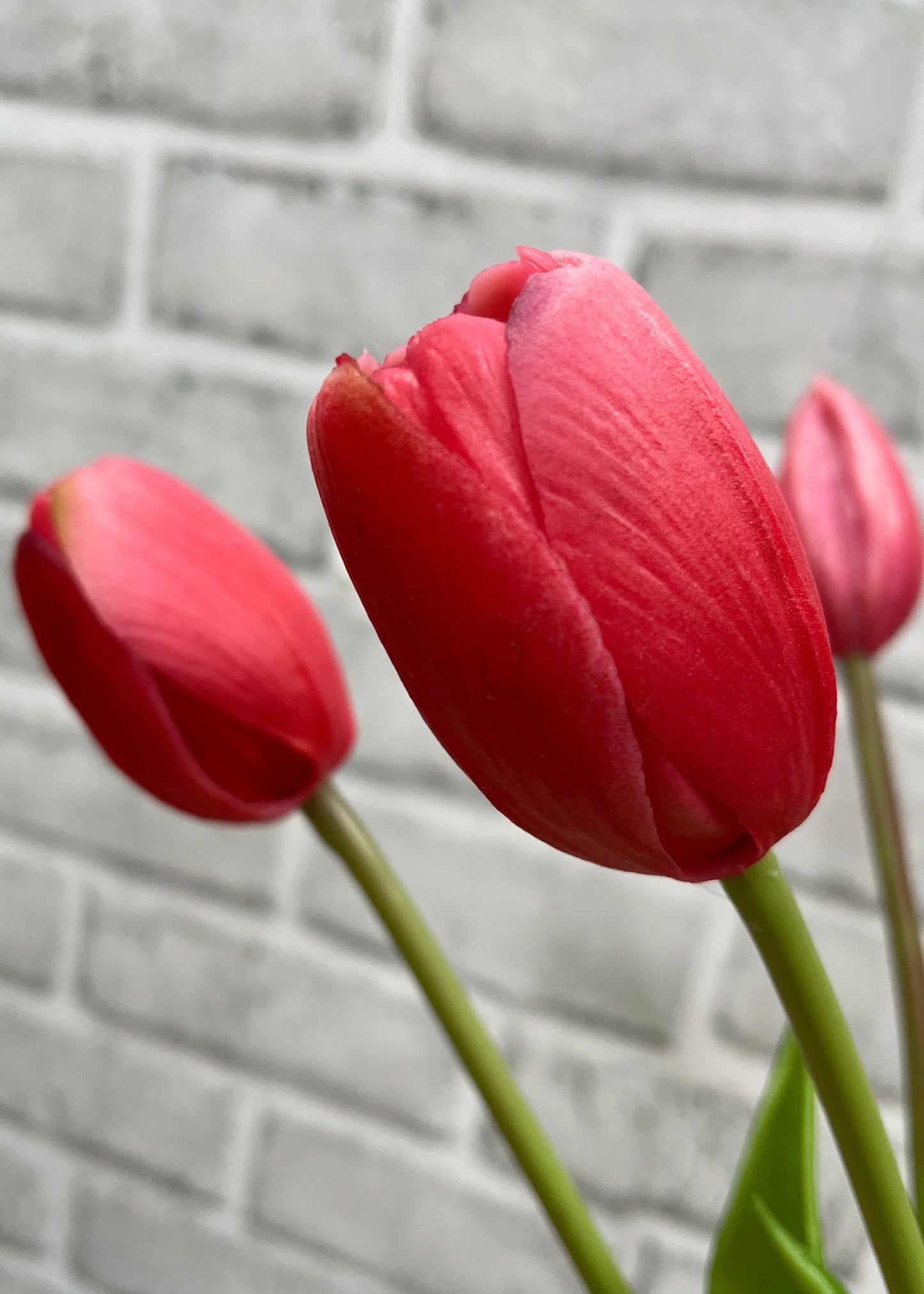 FRESH TOUCH PEONY TULIP BUNDLE-ROSE