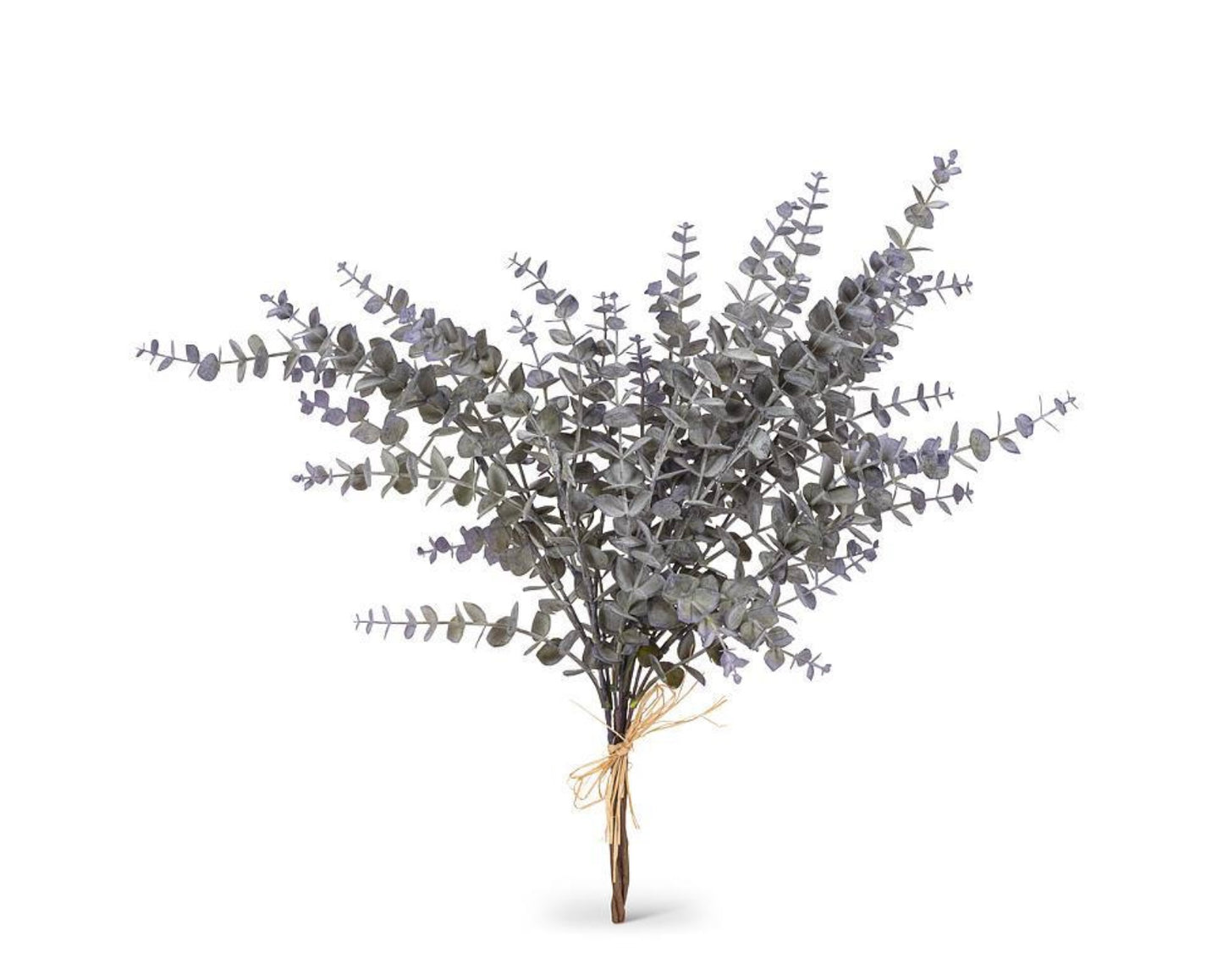 Eucalyptus Sprig Bunch