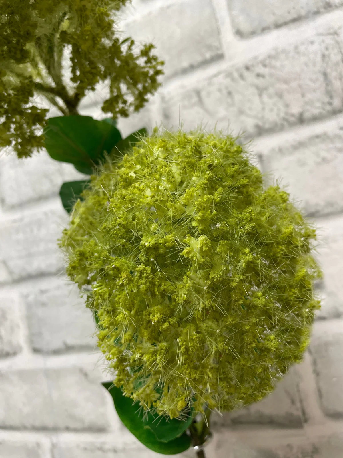 GREEN MEADOWSWEET SPRAY