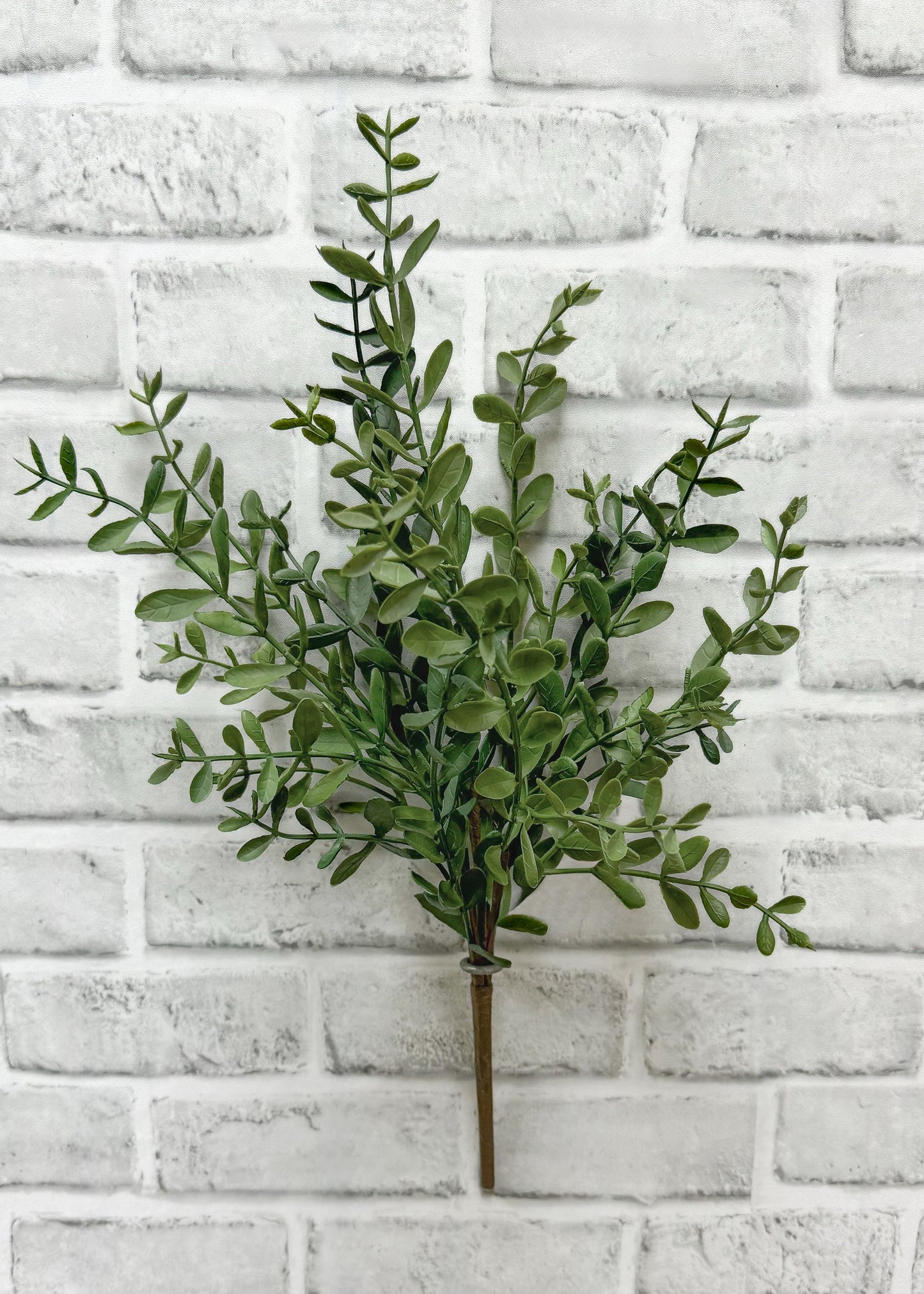 TEA LEAF BUSH