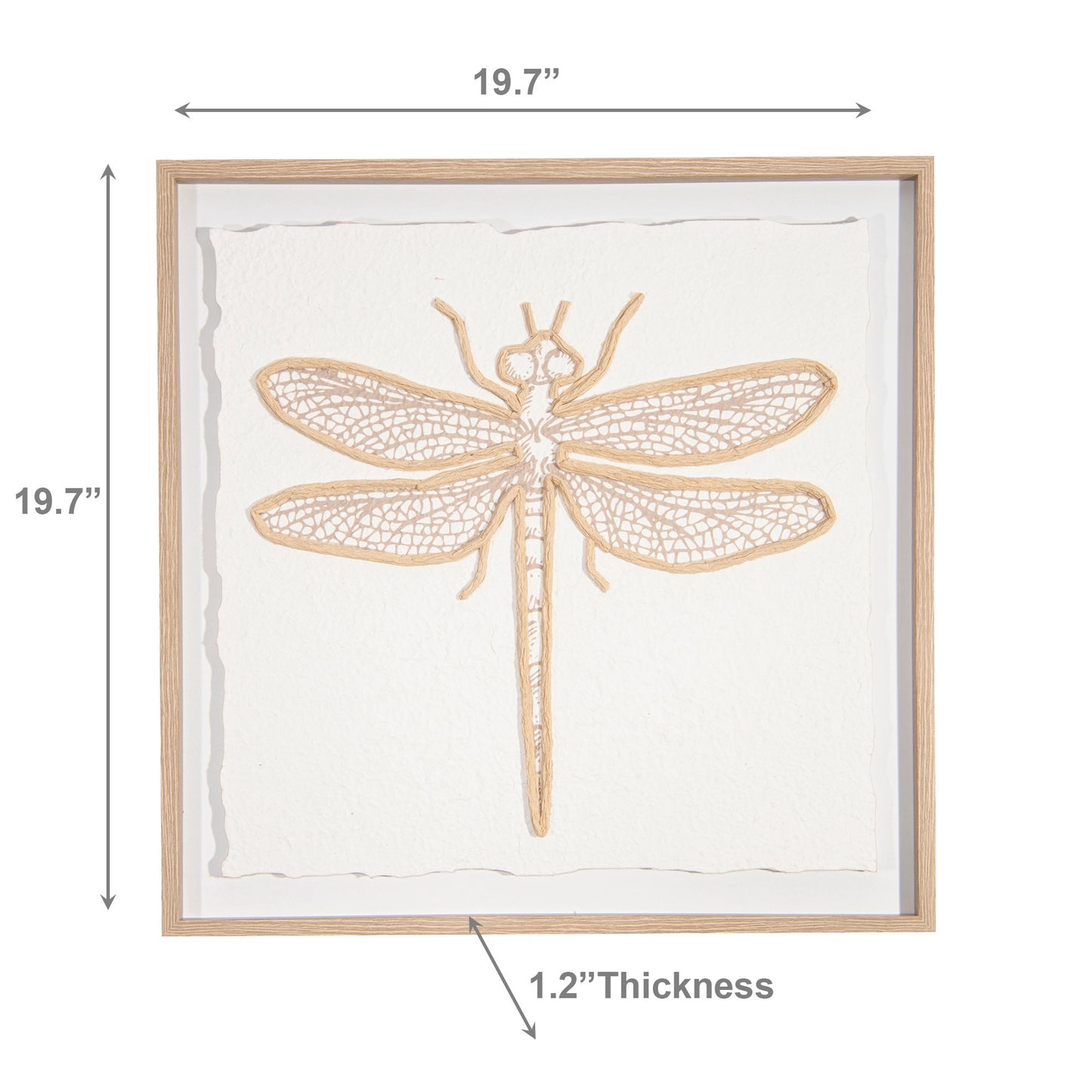 Framed Paper Art with 3D Effect-Dragonfly