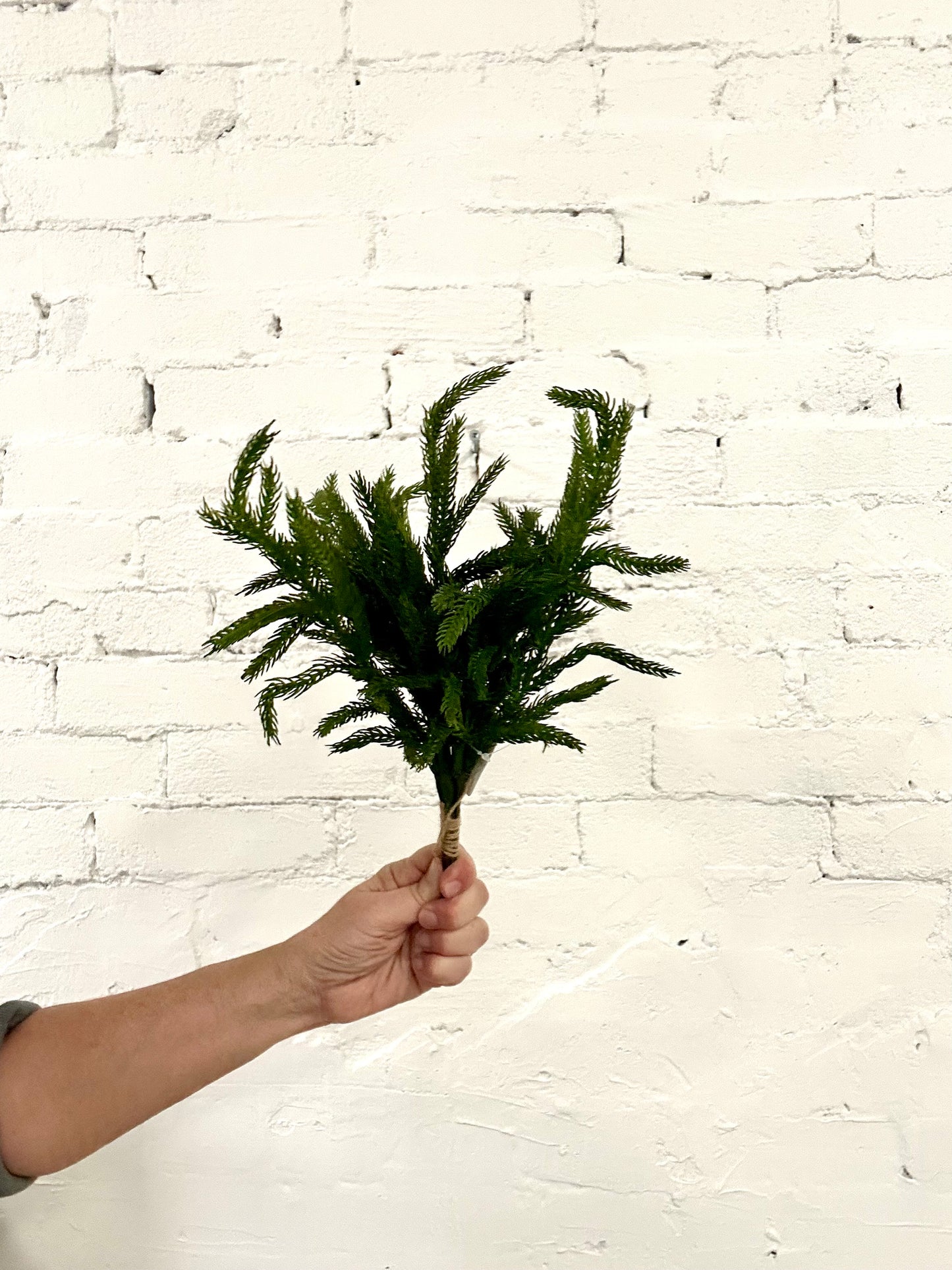 FRESH TOUCH NORFOLK PINE PICK BUNDLE-12"