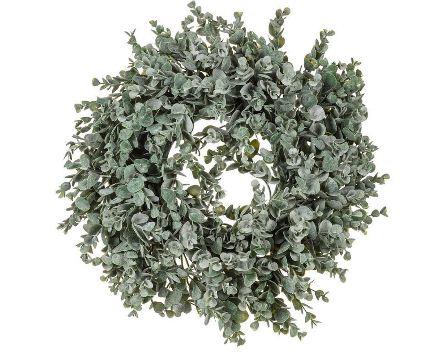 Frost Boxwood Wreath-Medium