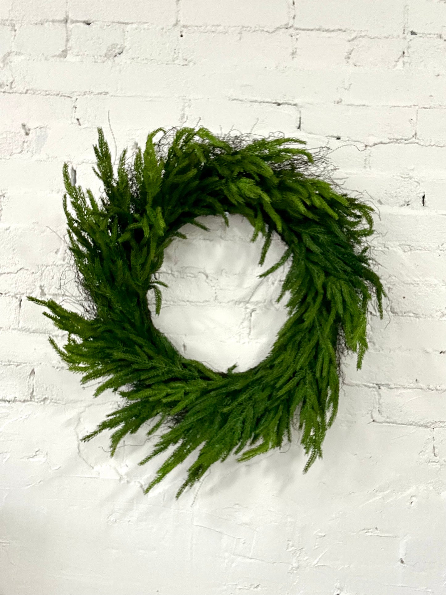 FRESH TOUCH NORFOLK PINE WREATH 24”