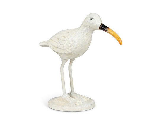 Shore Bird with Long Beak