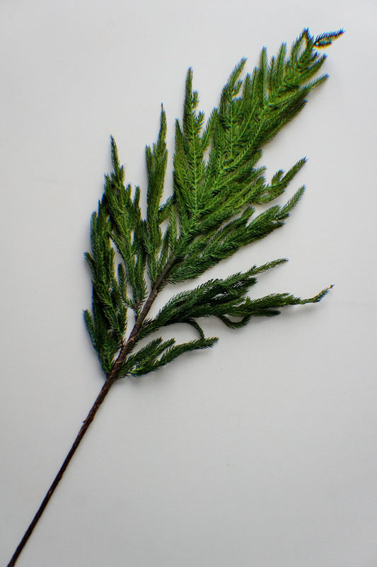 FRESH TOUCH NORFOLK PINE SPRAY-36”