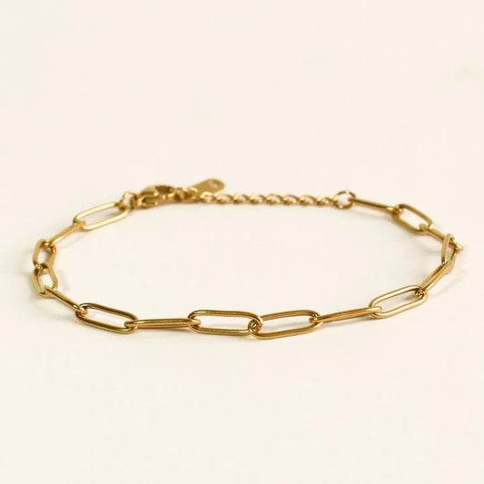 Dainty Paperclip Chain