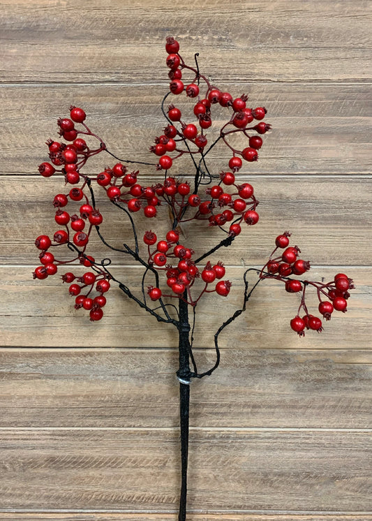 WEATHER RESISTENT BERRIES SPRAY-RED