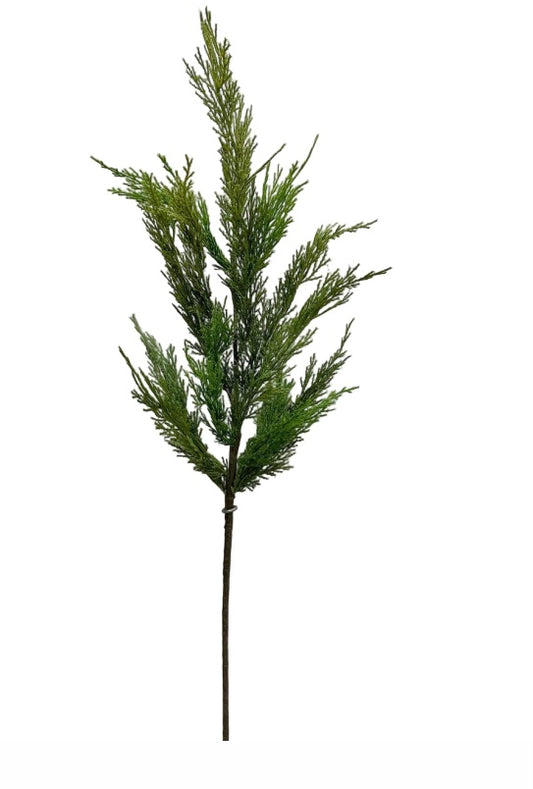 Whispy Cedar Branch 36”