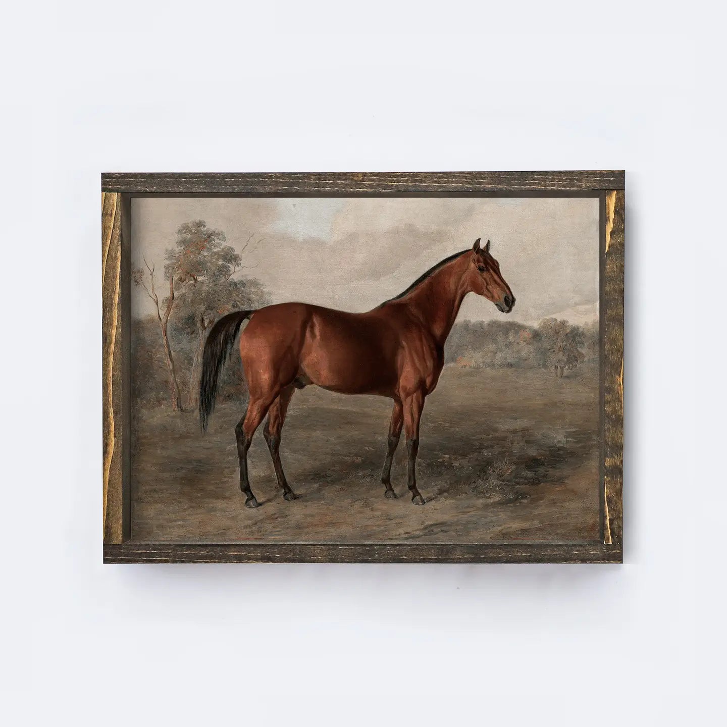 Vintage Horse Print Framed | Equestrian