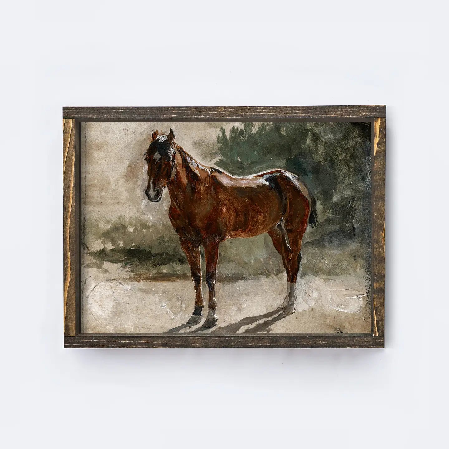 Vintage Print Framed | Horse