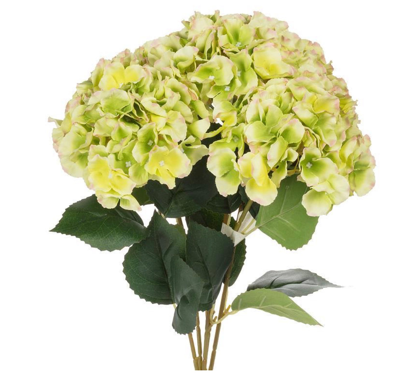 Large 5 Stem Hydrangea Bouquet-Green