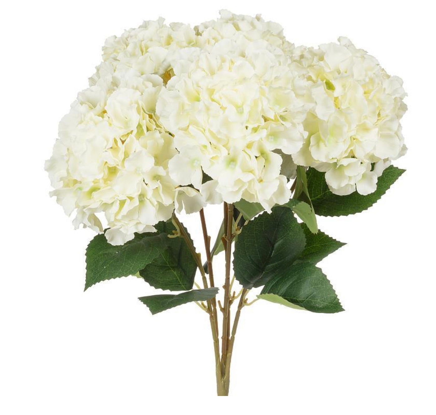 Large 5 Stem Hydrangea Bouquet-White