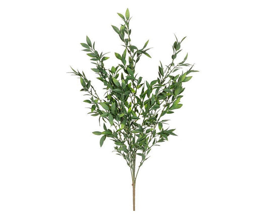 Long Leafy Stem