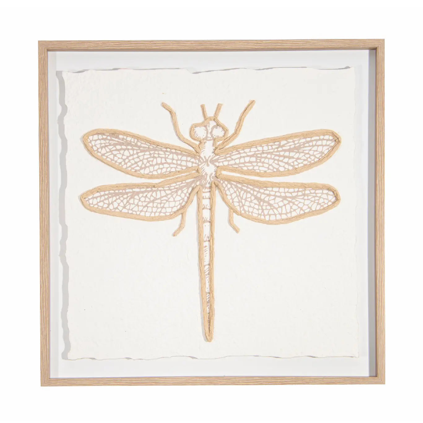 Framed Paper Art with 3D Effect-Dragonfly