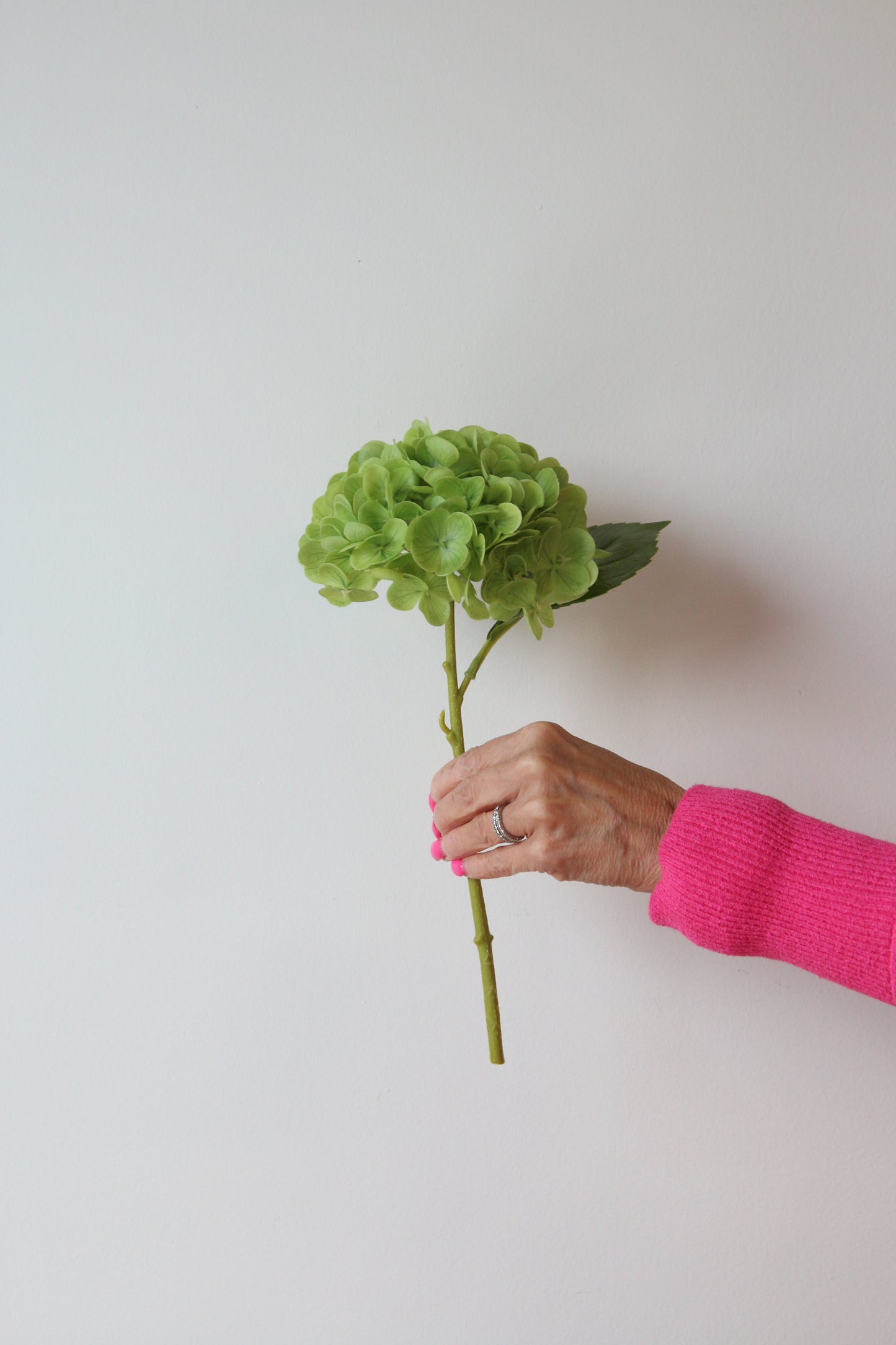 Fresh Touch Hydrangea Stem-Green