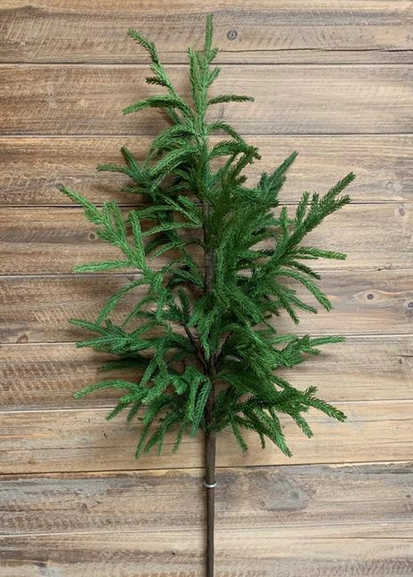 Fresh Touch Norfolk Pine Branch-40”