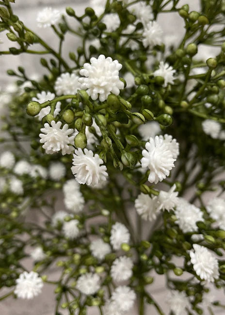 WHITE GYPSOPHILA BUSH 16”