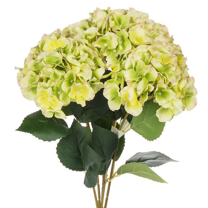 Large 5 Stem Hydrangea Bouquet-Green