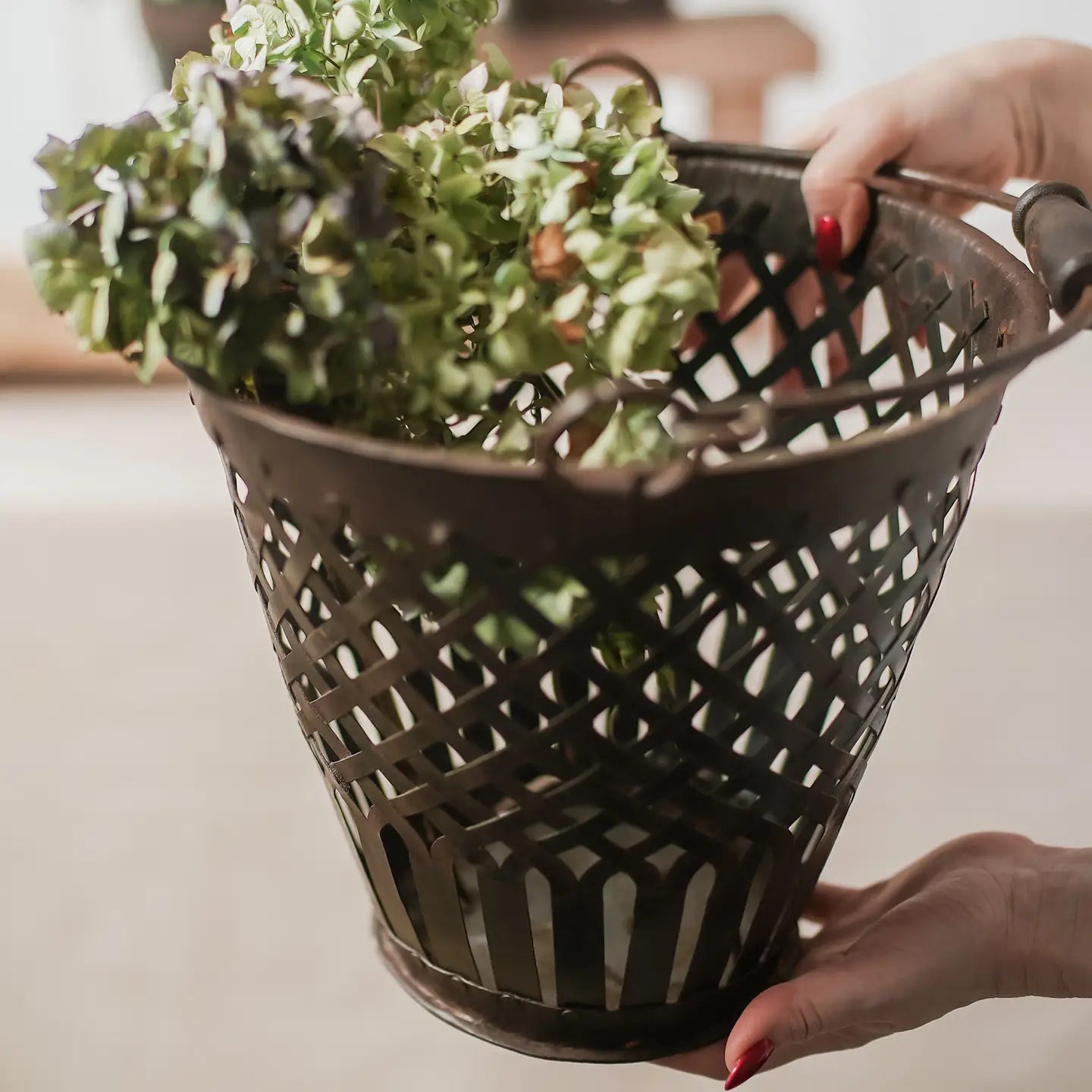 Vintage Iron Basket