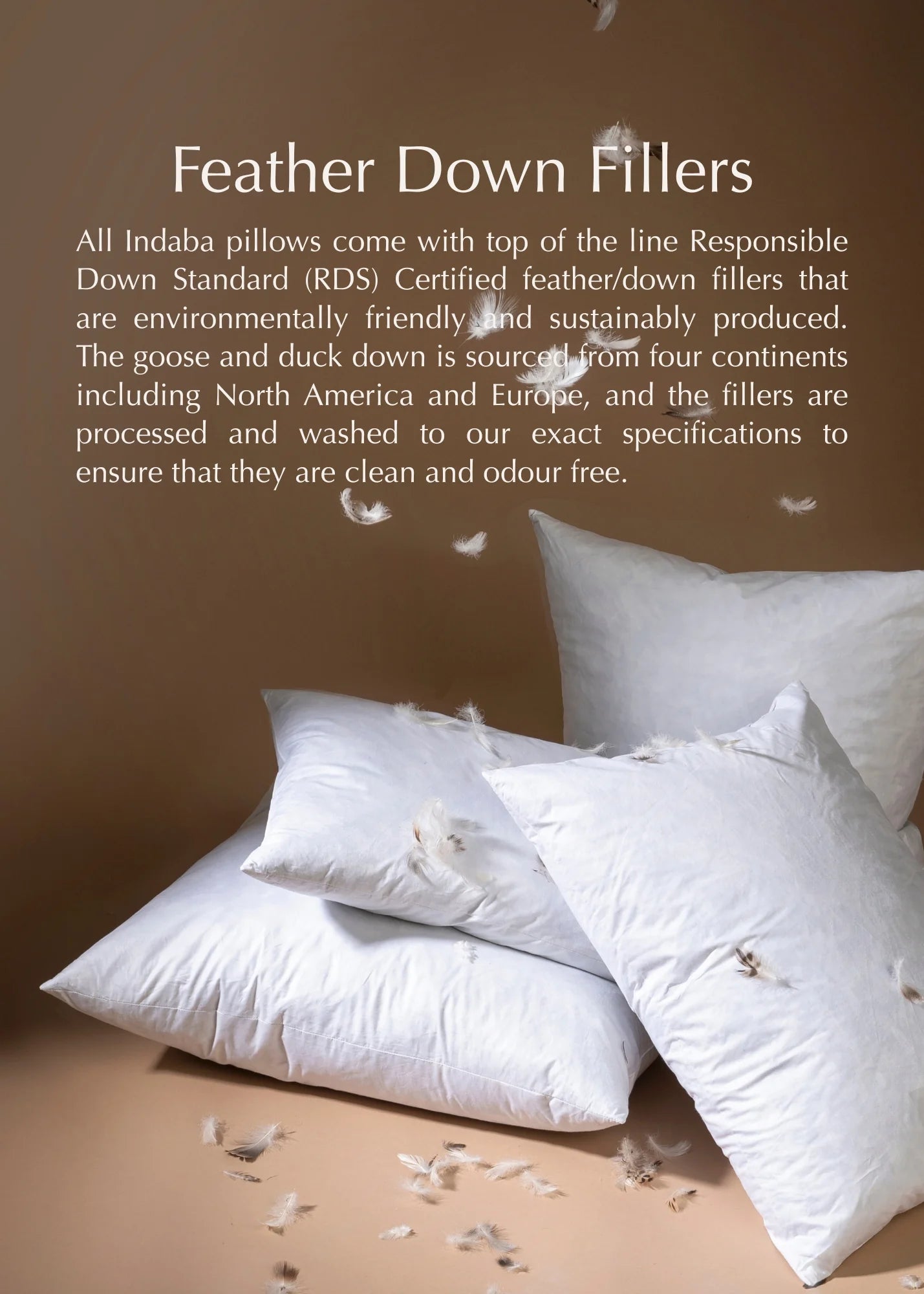 Poetry Pillow