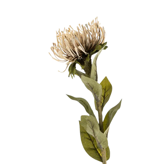 Pin Cushion Floral Stem Natural