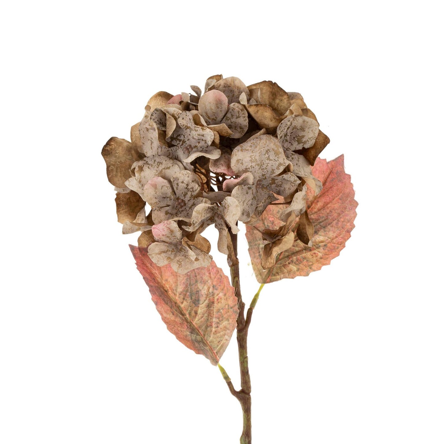Faded Hydrangea Stem-Grey