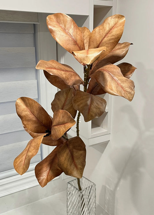 BROWN MAGNOLIA SPRAY