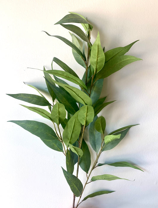 Willow Eucalyptus Spray