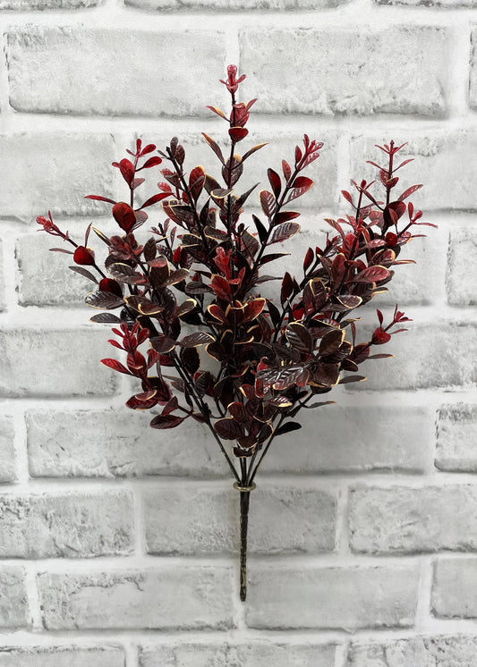 BURGUNDY EUONYMUS BUSH