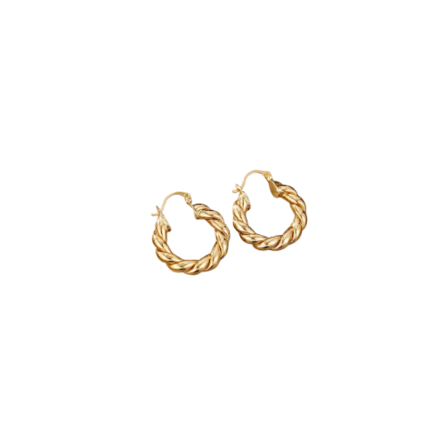 Twisted Hoop Earrings